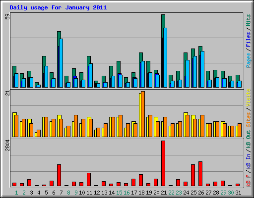 Daily usage for January 2011
