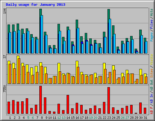 Daily usage for January 2013