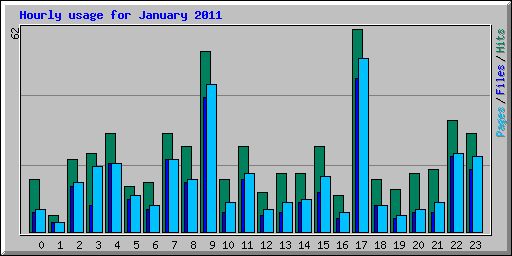 Hourly usage for January 2011