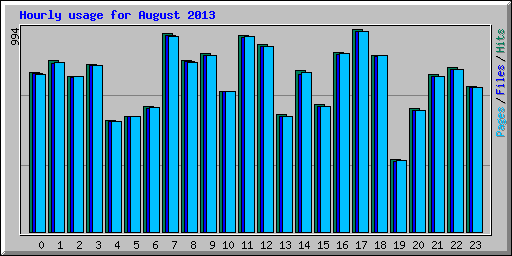 Hourly usage for August 2013